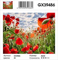 Картина по номерам Paintboy GX39486, холст на подрамнике, 40x50 см