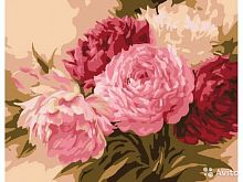 Картина по номерам Paintboy G429, холст на подрамнике, 40х50 см