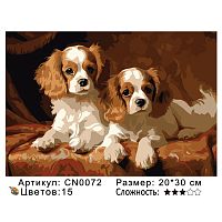 Картина по номерам Paintboy CN0072 20x30 см