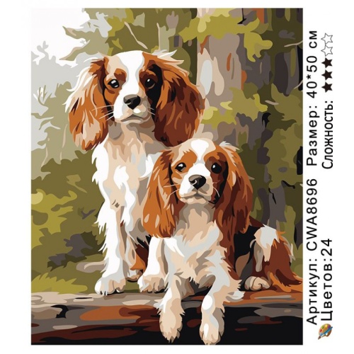 Картина по номерам Paintboy CWA8696, холст на подрамнике, 40x50 см