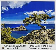 Картина по номерам Paintboy WA4510 40x50 см