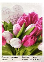 Картина по номерам Paintboy GX38496, холст на подрамнике, 40x50 см