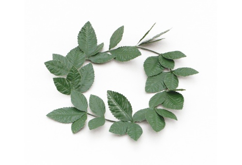 Лавровый венок зеленый, карнавальный, пластик, размер 20*20 см