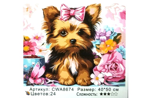 Картина по номерам Paintboy CWA8674, холст на подрамнике, 40x50 см
