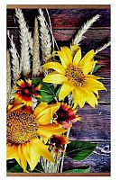 Электрообогреватель инфракрасный настенный ДО "Подсолнухи" в картонной упаковке