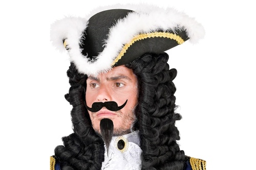 Мушкетерские усы и бородка черные (набор), синтетический волос, ткань полиэстер