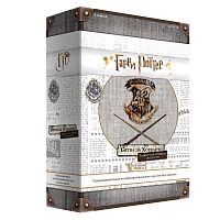 Настольная печатная игра "Гарри Поттер. Битва за Хогвартс: Защита от тёмных искусств", 11+ 