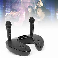 Караоке система Орбита OT-ERM09 ЧЕРНАЯ, 2 микрофона, 2 динамика 2*15Вт 