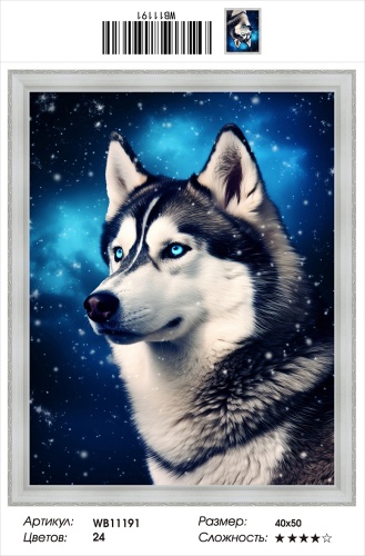Алмазная мозаика Painting Diamond WB11191 40x50 см, круглые стразы
