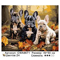 Картина по номерам Paintboy CWA8671, холст на подрамнике, 40x50 см