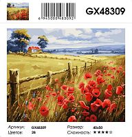 Картина по номерам Paintboy GX48309, холст на подрамнике, 40x50 см