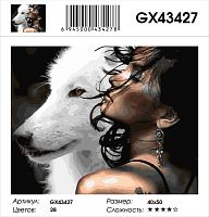 Картина по номерам Paintboy GX43427, холст на подрамнике, 40x50 см