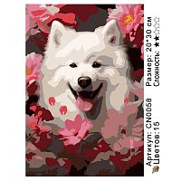 Картина по номерам Paintboy CN0058, холст на подрамнике, 20x30 см