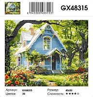 Картина по номерам Paintboy GX48315, холст на подрамнике, 40x50 см