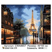 Картина по номерам Paintboy CWA8657, холст на подрамнике, 40x50 см