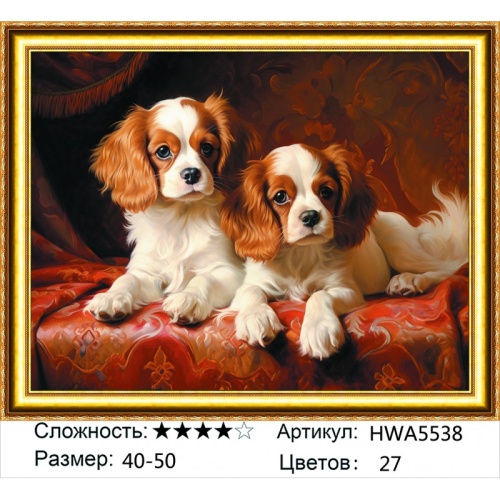 Алмазная мозаика Painting Diamond HWA5538, холст на подрамнике, круглые стразы, 40x50 см