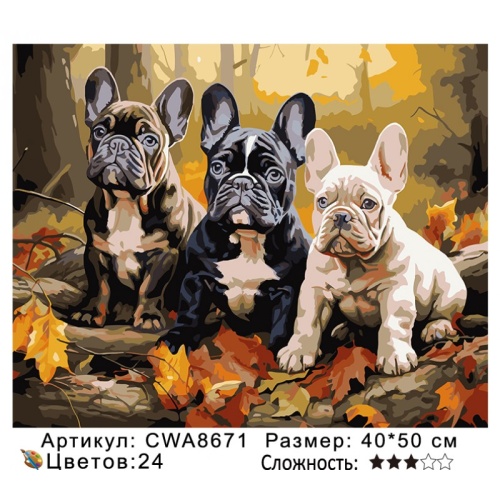 Картина по номерам Paintboy CWA8671, холст на подрамнике, 40x50 см