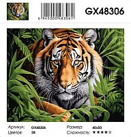 Картина по номерам Paintboy GX48306, холст на подрамнике, 40x50 см