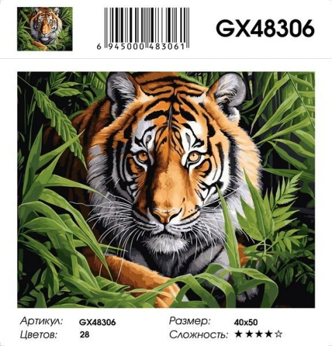 Картина по номерам Paintboy GX48306, холст на подрамнике, 40x50 см