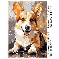 Картина по номерам Paintboy CN0046 20x30 см