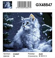 Картина по номерам Paintboy GX48847, холст на подрамнике, 40x50 см