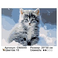 Картина по номерам Paintboy CN0049 20x30 см