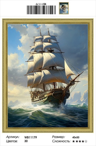 Алмазная мозаика Painting Diamond WB11179, холст на подрамнике, круглые стразы, 40x50 см