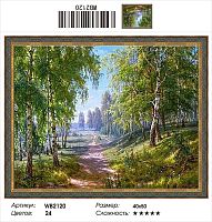 Алмазная мозаика Painting Diamond WB2120 40x50 см, круглые стразы