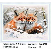Алмазная мозаика Painting Diamond HWA5722, холст на подрамнике, круглые стразы, 40x50 см