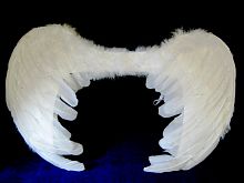 Крылья перьевые белые, (перья, картон, резинка), размер 60*45 см