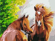 Картина по номерам Paintboy GX7276, холст на подрамнике, 40x50 см