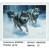Алмазная мозаика Painting Diamond HWA5518 40x50 см, круглые стразы