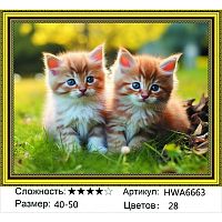 Алмазная мозаика Painting Diamond HWA6663 40x50 см, круглые стразы