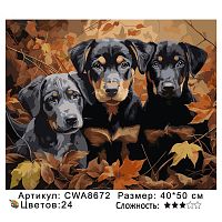 Картина по номерам Paintboy CWA8672, холст на подрамнике, 40x50 см