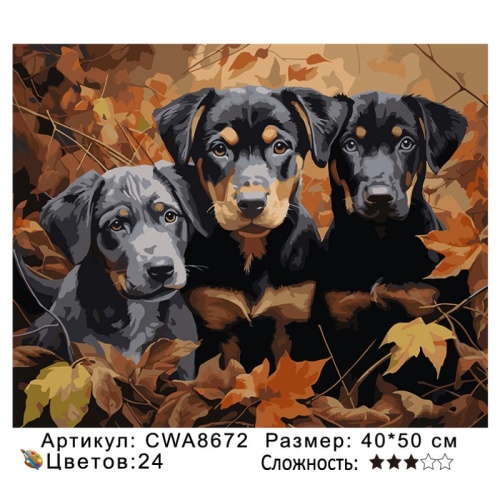 Картина по номерам Paintboy CWA8672, холст на подрамнике, 40x50 см
