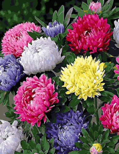 Картина по номерам Paintboy GX31230, холст на подрамнике, 40x50 см Картина по номерам Paintboy GX31230, холст на подрамнике, 40x50 см