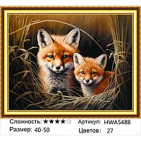 Алмазная мозаика Painting Diamond HWA5488, холст на подрамнике, круглые стразы, 40x50 см