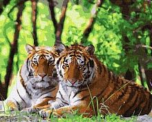 Картина по номерам Paintboy GX36907, холст на подрамнике, 40x50 см