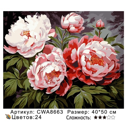 Картина по номерам Paintboy CWA8663, холст на подрамнике, 40x50 см