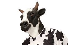 Маска Корова реалистичная 96646, белый, черный латекс, без размера