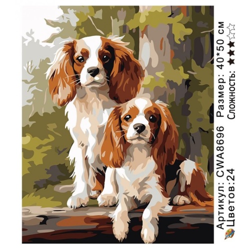 Картина по номерам Paintboy CWA8696, холст на подрамнике, 40x50 см